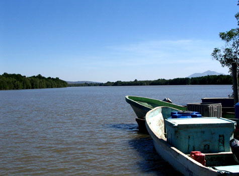 Estero Real